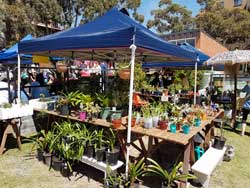 2016 Fete